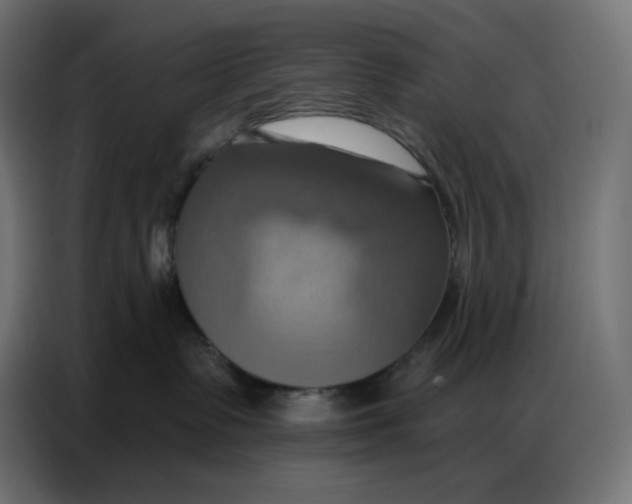 X0000086750335200705041432