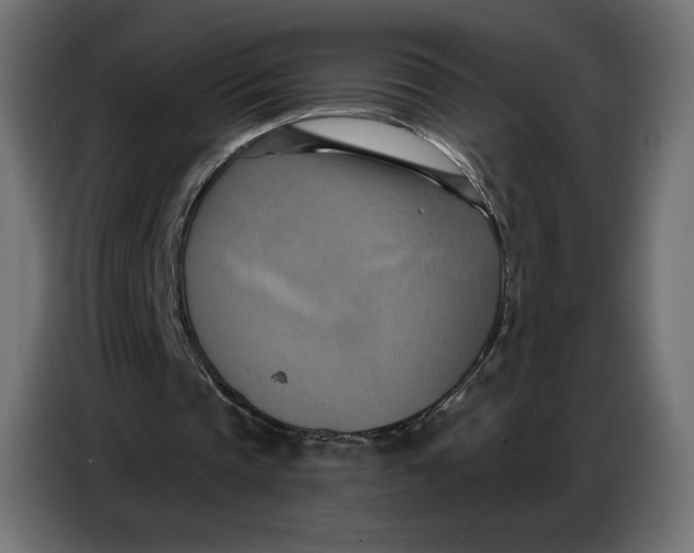 X0000086750337200705041432