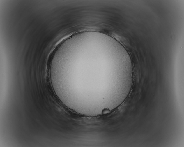 X0000086750338200705041432