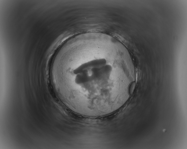 X0000086750339200705041432