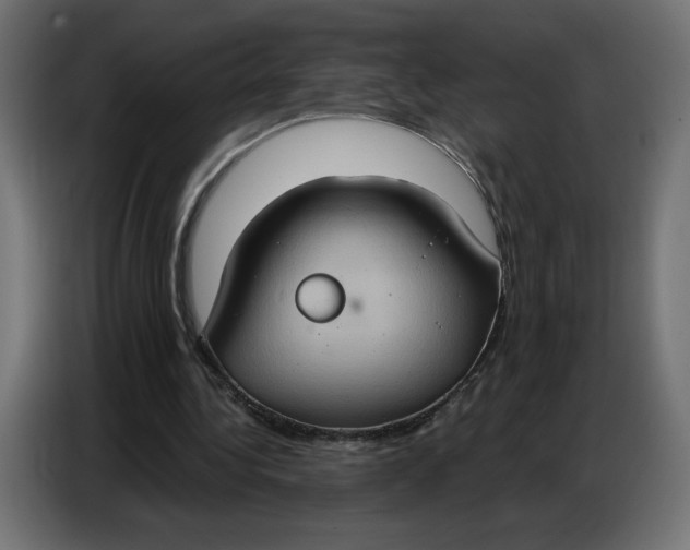 X0000086750340200705041432