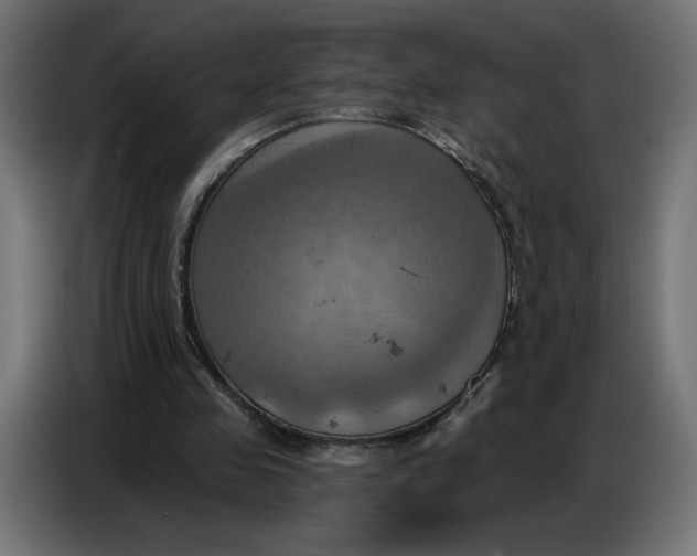 X0000086750341200705041432