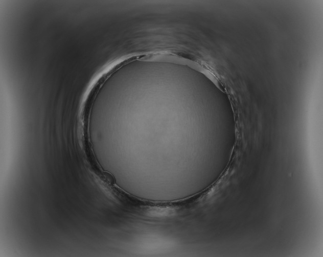 X0000086750342200705041432