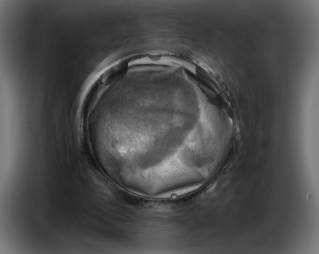 X0000086750343200705041432