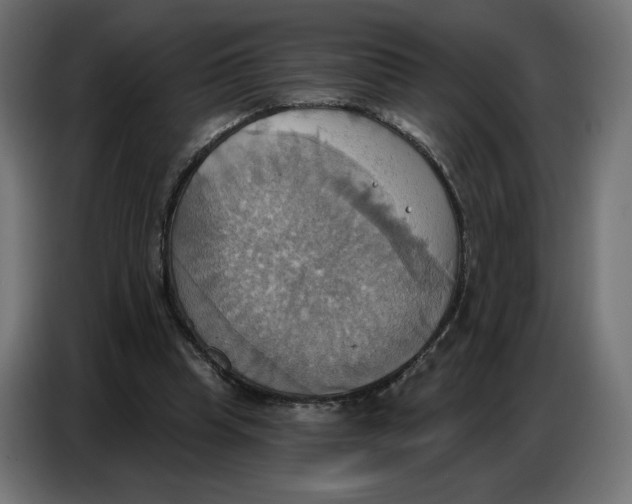 X0000086750345200705041432