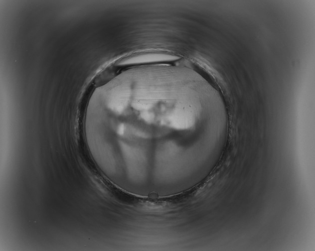 X0000086750346200705041432