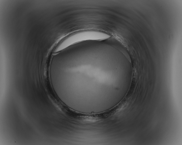 X0000086750347200705041432