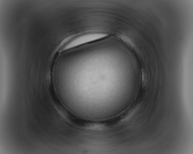 X0000086750348200705041432