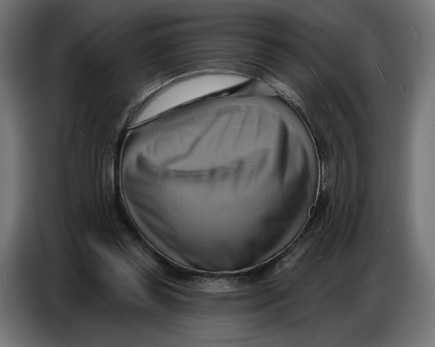 X0000086750349200705041432