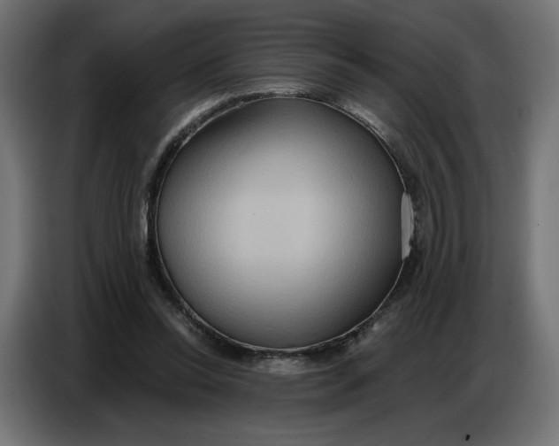 X0000086750350200705041432