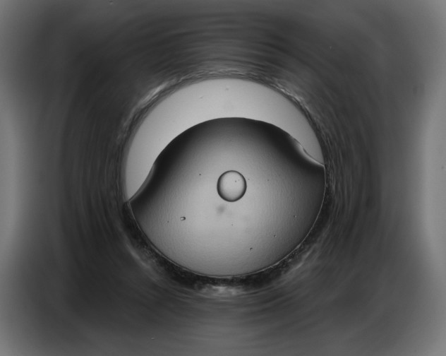 X0000086750352200705041432