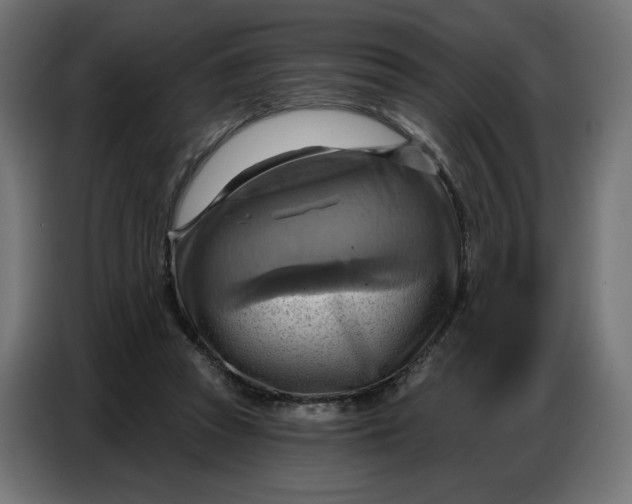 X0000086750353200705041432