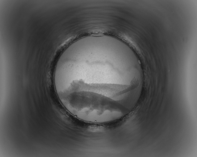 X0000086750354200705041432