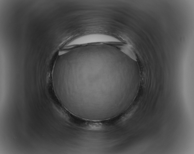 X0000086750355200705041432