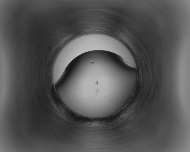 X0000086750356200705041432