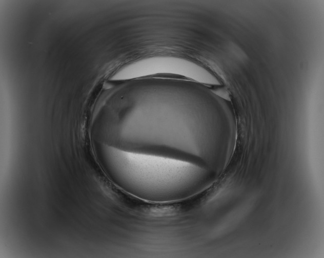 X0000086750357200705041432