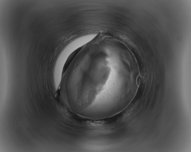 X0000086750359200705041432