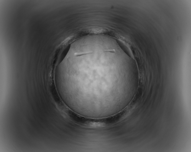 X0000086750360200705041432