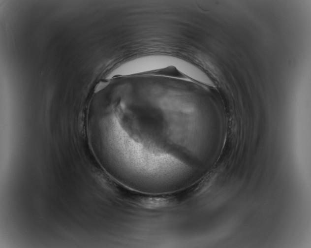 X0000086750361200705041432