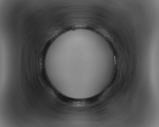 X0000086750362200705041432