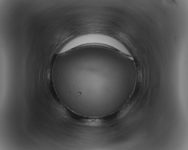 X0000086750363200705041432