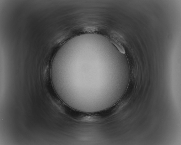 X0000086750364200705041432