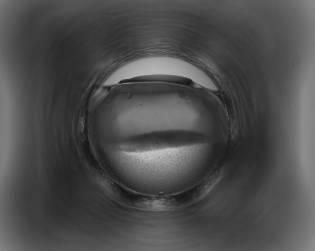 X0000086750365200705041432