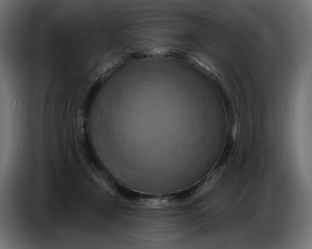 X0000086750366200705041432