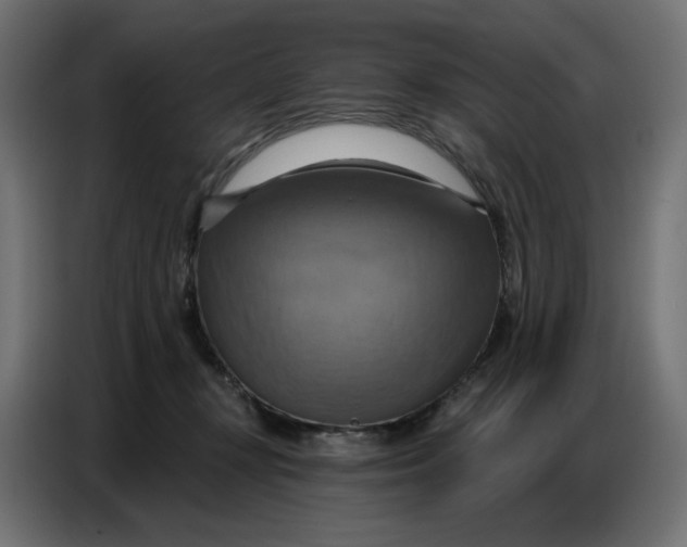 X0000086750367200705041432