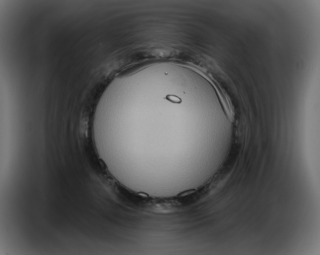 X0000086750368200705041432