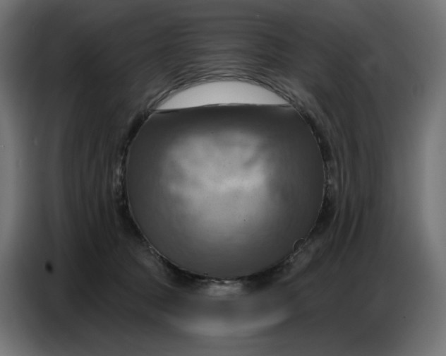 X0000086750369200705041432