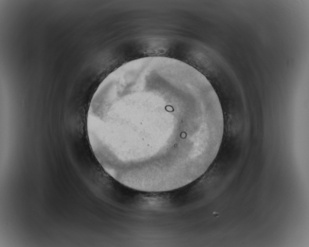 X0000086750370200705041432