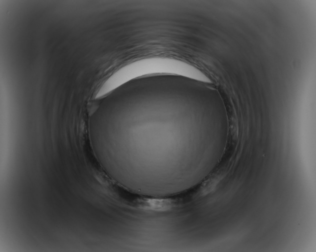 X0000086750371200705041432