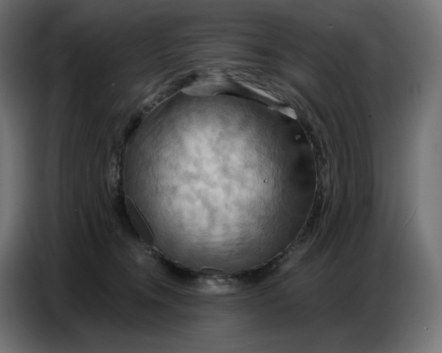 X0000086750372200705041432