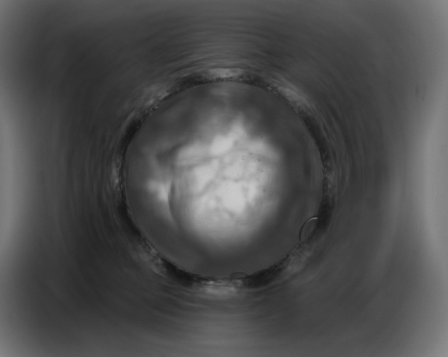 X0000086750373200705041432