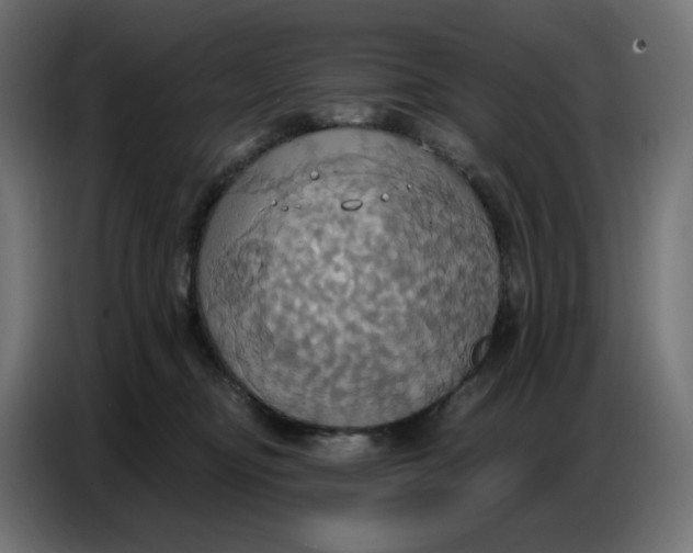 X0000086750374200705041432