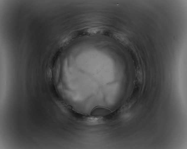 X0000086750375200705041432