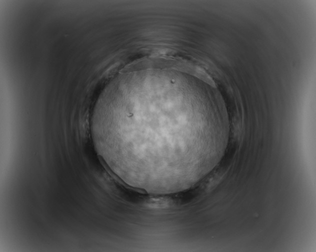 X0000086750376200705041432