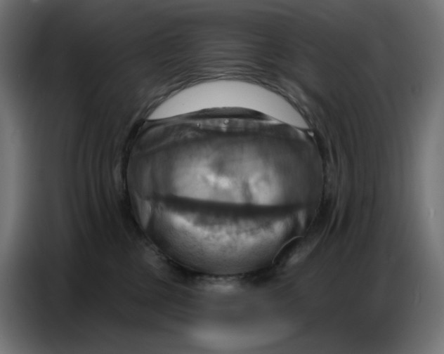 X0000086750377200705041432