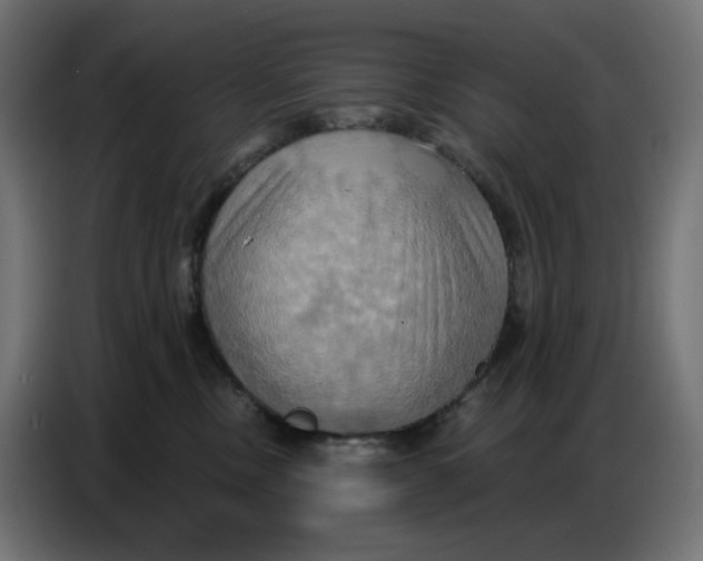 X0000086750378200705041432