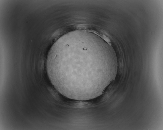 X0000086750379200705041432