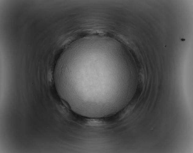 X0000086750380200705041432