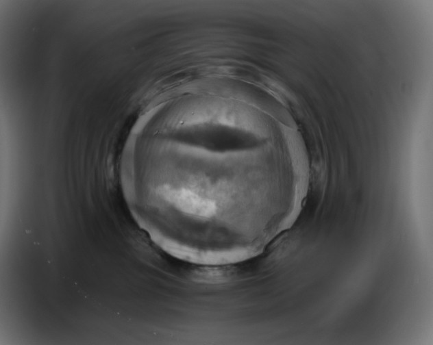 X0000086750381200705041432