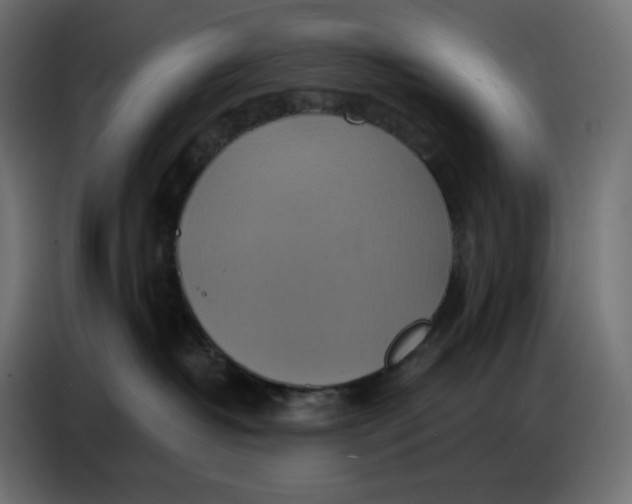 X0000086750382200705041432