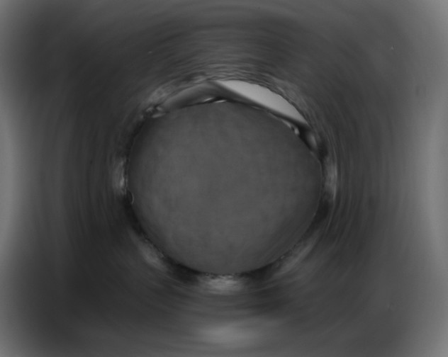 X0000086750383200705041432