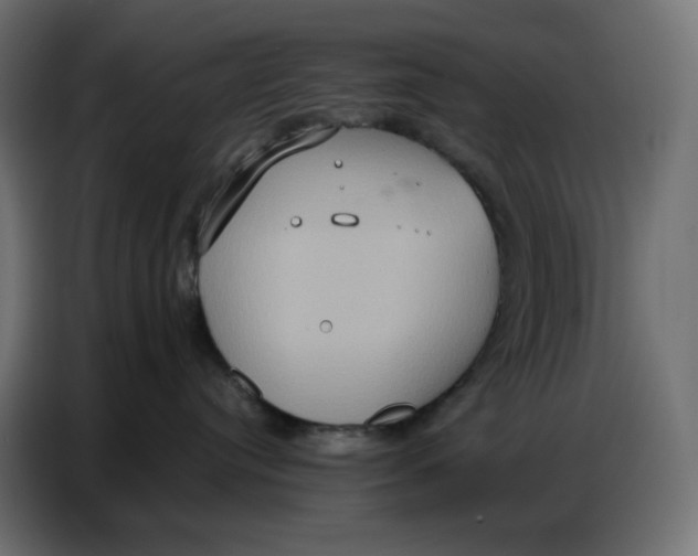 X0000086750384200705041432