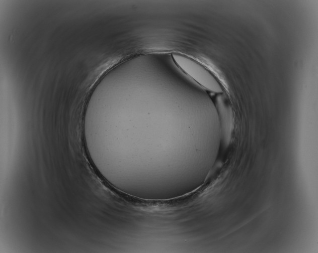 X0000086750385200705041432