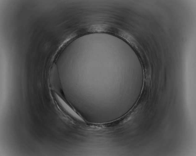 X0000086750386200705041432