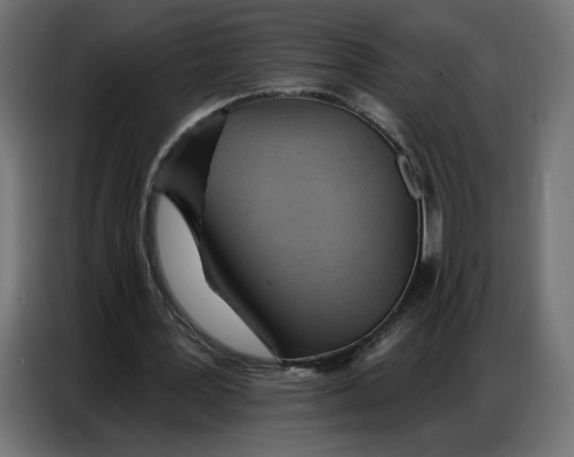 X0000086750387200705041432