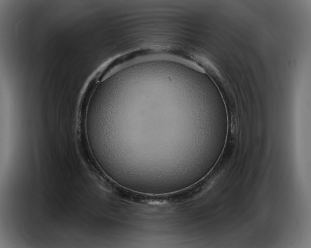 X0000086750388200705041431